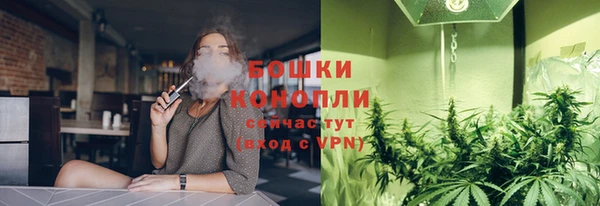 индика Зеленокумск