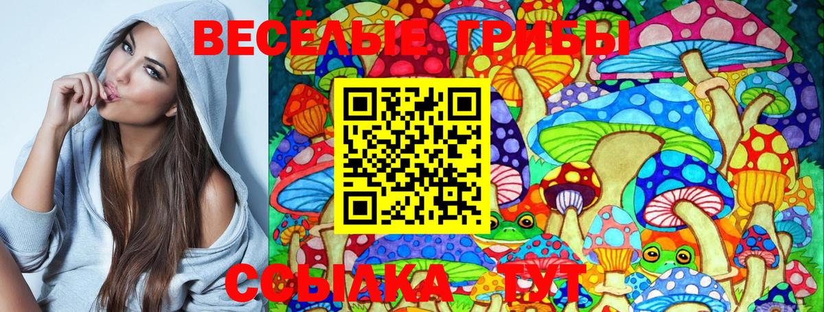 Псилоцибиновые грибы MAGIC MUSHROOMS Советск