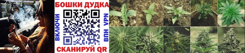 Канабис ГИДРОПОН  сколько стоит  Советск 